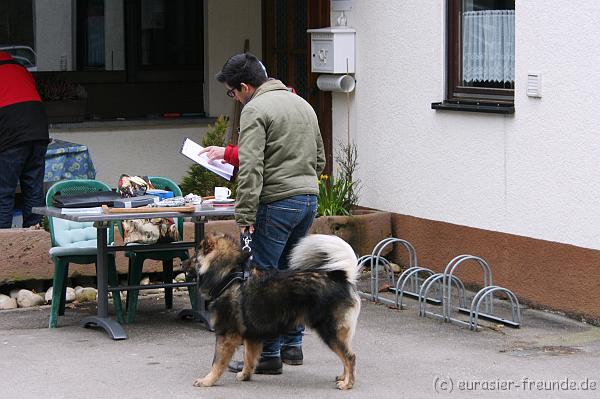 (Foto Goslar) Koerung Benno_14.03.2015_IMG_6884.png